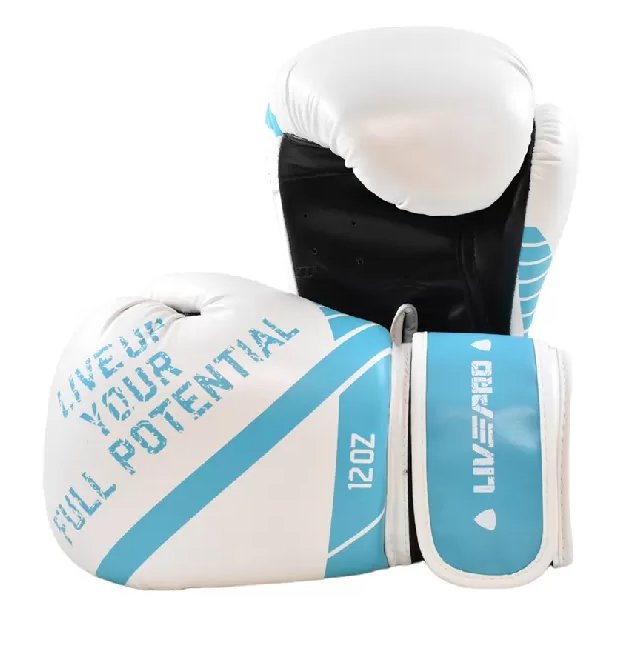 Boxing gloves 12 ounces