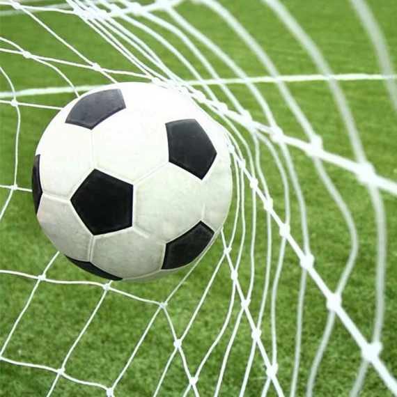 Football goal net 244x732 cm 2 pcs
