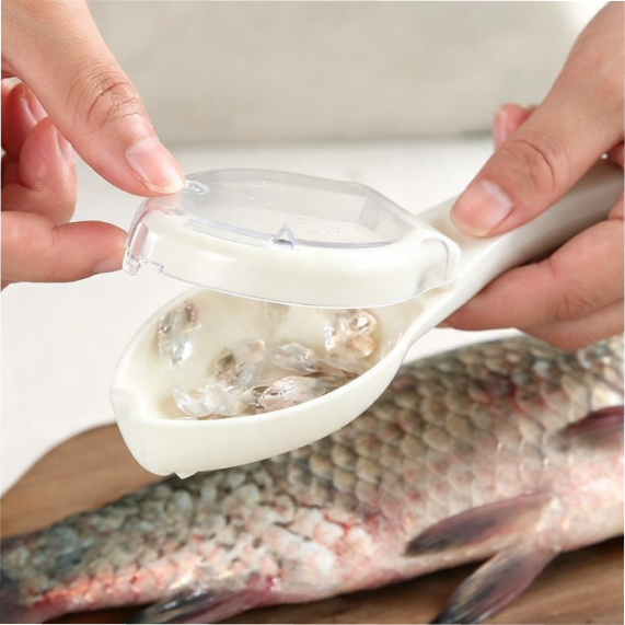 Fish scale scraper