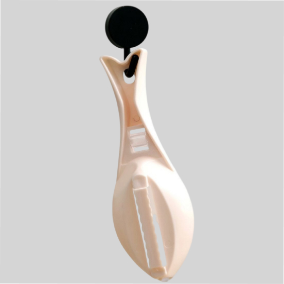 Fish scale scraper