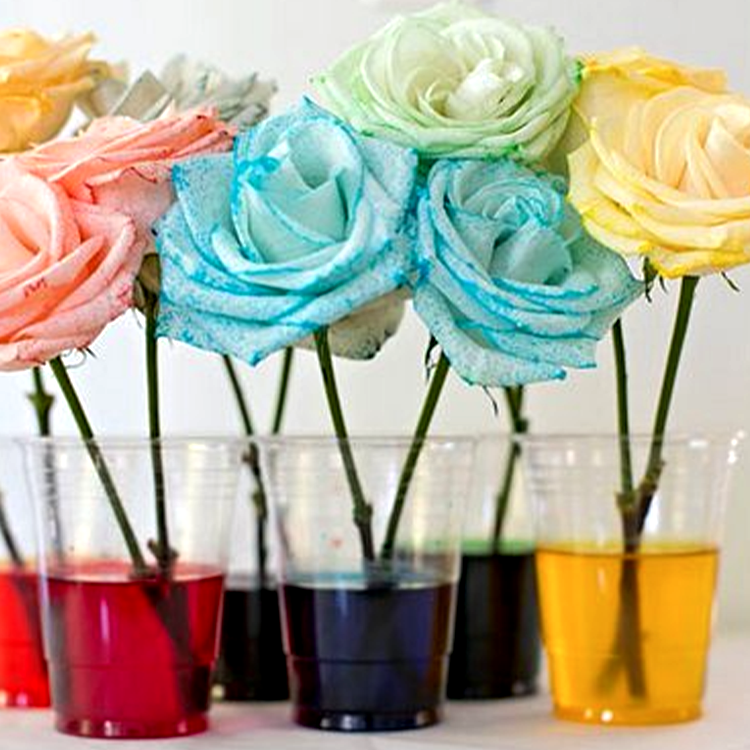 Children's science experiment Chemistry