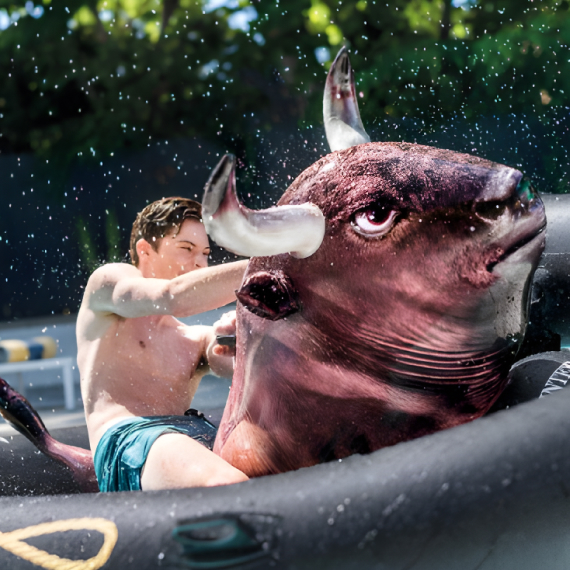 Inflatable Water Game Rodeo Bull 