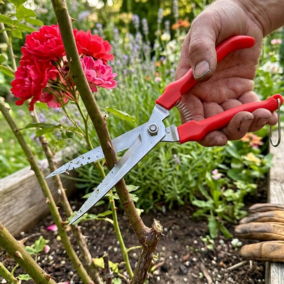 Pruning shear 23 cm