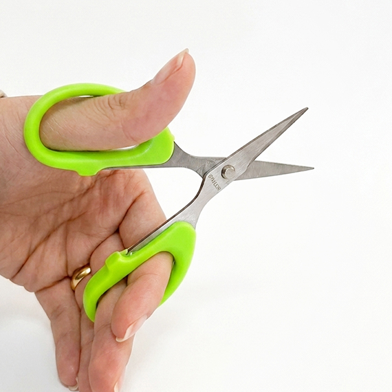 Scissors