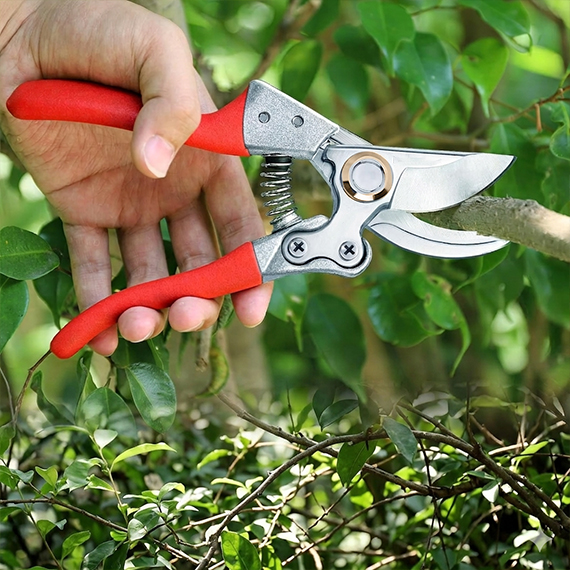 Pruning shear 21 cm