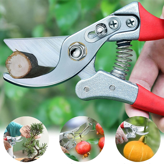 Pruning shear 21 cm