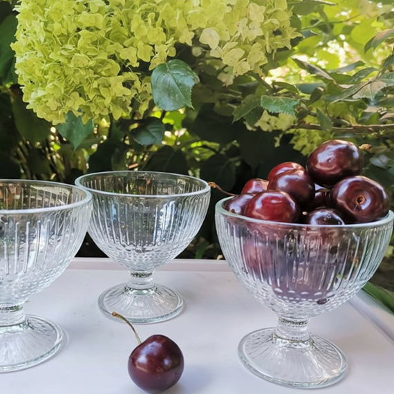 Ice cream bowls 300 ml 3 pcs