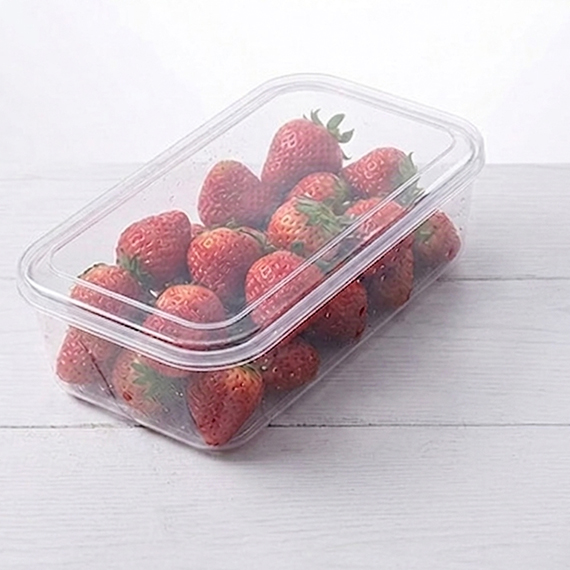 Ice cube tray 12x25 cm
