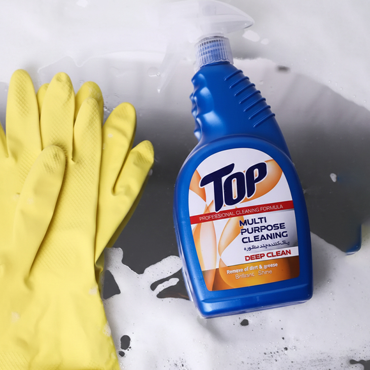 Multi Purpose Cleaning Spray 750ml