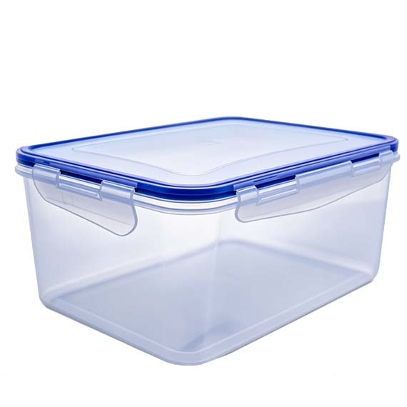 Food container with lid 18x25x12 cm/4 L